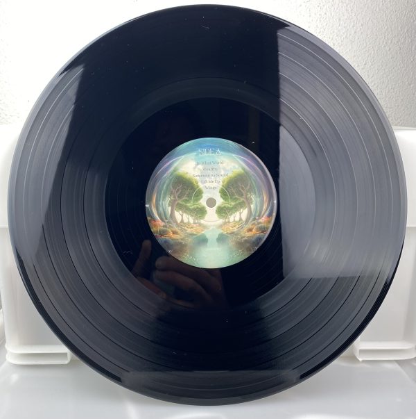 Cornelius Leonardus - In What World - Afbeelding 3
