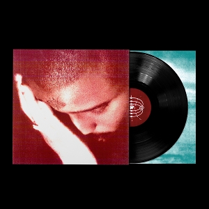 LP - The Passionate Ones - Nourished By Time