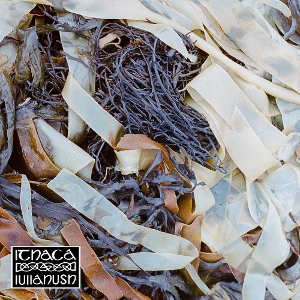 LP - Ithaca - Lullahush