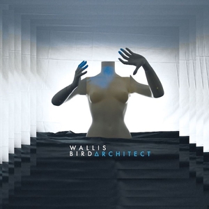 LP - Architect - Wallis Bird