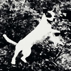 12in - Azura - Edmondson