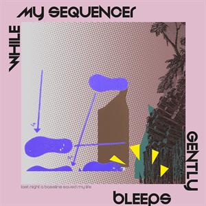 12in - Last Night a Bassline Saved My Life - While My Sequencer Gently Bleeps