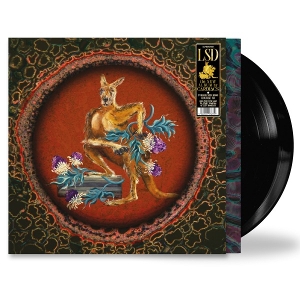 LP - Lsd - Cardiacs