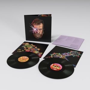 LP - Boy From Michigan - John Grant