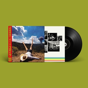 LP - 3d Country - Geese