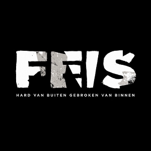 LP - Hard Van Buiten, Gebroken Van Binnen - Feis