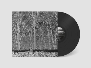LP - Sunshine and Balance Beams - Pile