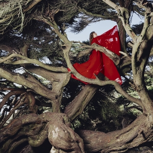LP - Nested In Tangles - Hannah Frances