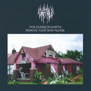 LP - This Dungeon Earth / Remove Your Skin Please - Chat Pile