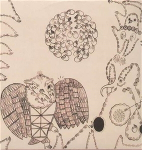 LP - Nino Rojo - Devendra Banhart