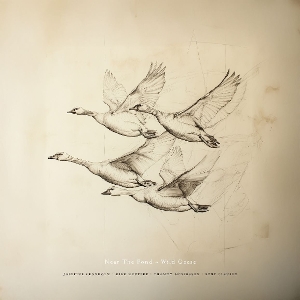 LP - Wild Geese - Near the Pond
