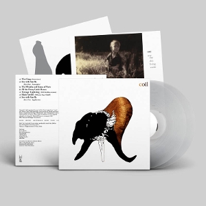 LP - Black Antlers - Coil