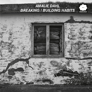 LP - Breaking / Building Habits - Amalie Dahl
