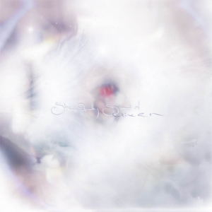 LP - She Only Said - Glixen