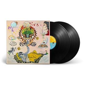 LP - Maybe I'm Dreaming - V/A
