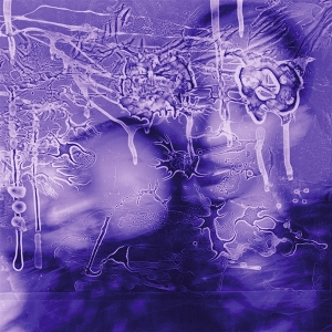 LP - I Got a Song, It's Gonna Make Us Millions - Sirens of Lesbos