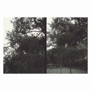 LP - Just Like Any Other Day - Okkyung Lee