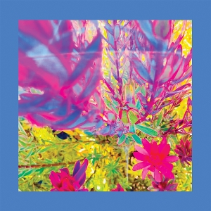 LP - The Past is a Garden I Never Fed - Pinks & Purples Reds