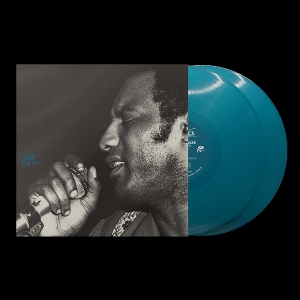 LP - Trying To Survive - Harvey Scales