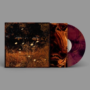 LP - Earth Patterns - Szun Waves