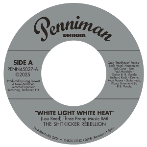 12in - 7-White Light White Heat - 99th Floor - Shitkicker Rebellion