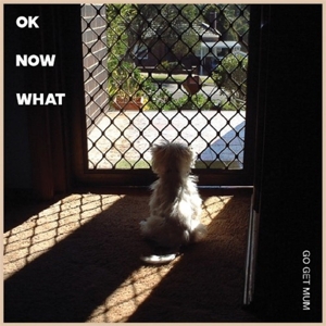 12in - Ok Now What - Go Get Mum