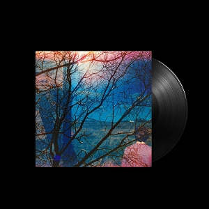 LP - Idlewild - Idlewild