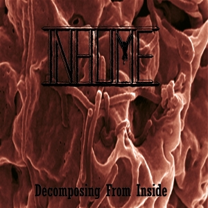 LP - Decomposing From Inside - Inhume
