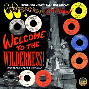 LP - 60's Forgotten Things - V/A