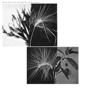 LP - New Environments & Rhythm Studies - Andrew Pekler
