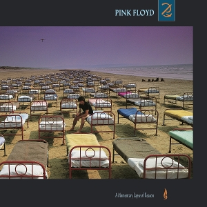 LP - A Momentary Lapse of Reason - Pink Floyd